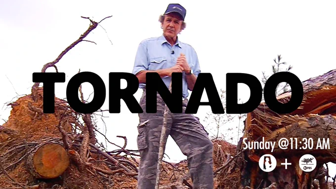Promotional image for a TV show episode titled "TORNADO," featuring a person standing in a damaged wooded area with broken trees, scheduled for Sunday at 11:30 AM.