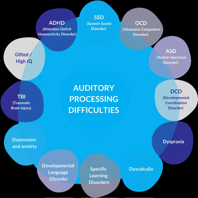 Circular wheel infographic with "AUDITORY PROCESSING DIFFICULTIES" in the blue center, surrounded by overlapping colored bubbles of related/co-occurring conditions: ADHD, SSD (Speech Sound Disorder), OCD, ASD (Autism Spectrum Disorder), DCD (Developmental Coordination Disorder), Dyscalculia, Specific Learning Disorders, Developmental Language Disorder, Depression and Anxiety, Dyspraxia, TBI (Traumatic Brain Injury), and Gifted/High IQ. Blended colors show intersections among neurodevelopmental, sensory, mental health, and other profiles.