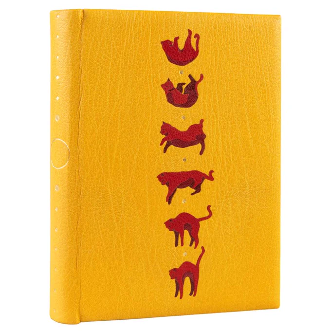 Yellow book binding of the first volume of the bewitching ‘Chrestomanci’ series by Diana Wynne Jones, featuring illustrations of a cat falling to land on its feet in shades of red