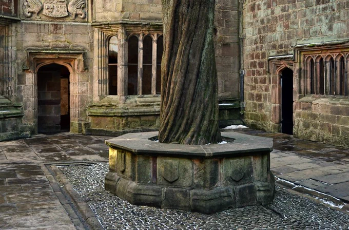 This image displays the Conduit Court at Skipton Castle, a medieval castle in North Yorkshire, The castle has been preserved for over 900 years and is considered one of the most complete and well-preserved medieval castles in England. The court is named for the 16th-century water piping that terminated here. The prominent, twisting yew tree in the center is thought to have been planted in 1659 by Lady Anne Clifford to celebrate the castle's restoration after the English Civil War. 