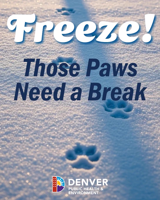 Poster by Denver Public Health & Environment displaying animal paw prints in snow with the message 'Freeze! Those Paws Need a Break'.