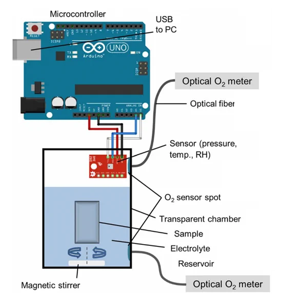 Respirometric immersion setup with oxygen measurements both in liquid and gas phase adapted from Strebl et al.
