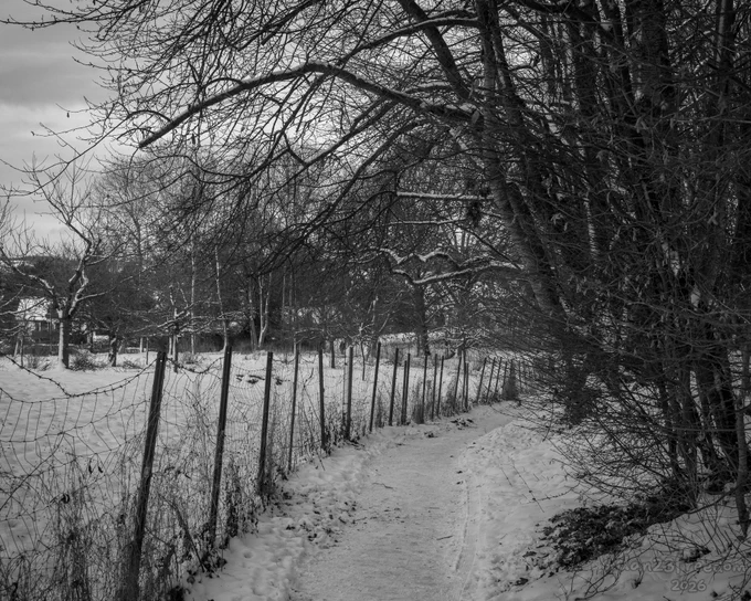 A snow-covered trail winds through a quiet rural scene, bordered by a wire fence and bare trees. The light is low, suggesting twilight. The atmosphere feels still and contemplative, as if the path is gently guiding the way home.