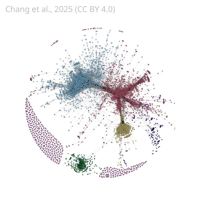  Bipartite network of ncORF-CDS co-translation in mice