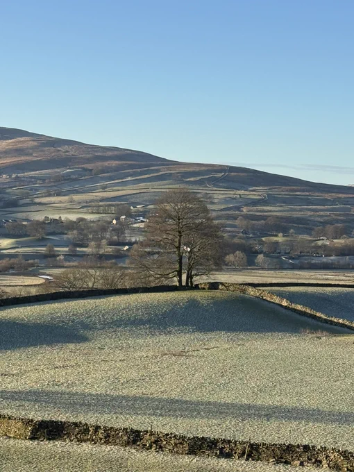 A bright winter landscape featuring gently rolling hills dusted with frost. In the foreground, a stone wall curves across a pale, frosty field. At the centre stands a pair of leafless trees silhouetted against the open countryside. In the background, layered hills rise under a clear blue sky, with scattered buildings and fields visible in the distance.