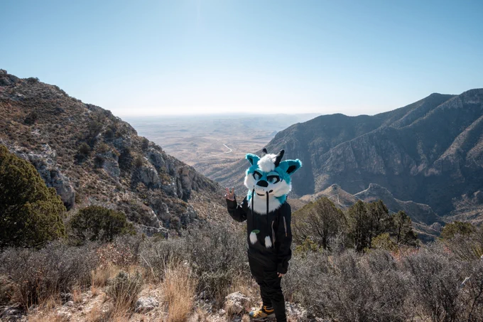 Tallest point in Texas