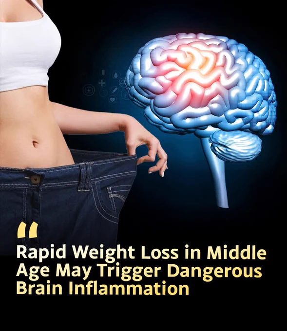 🧠 Slimming down isn't always a win for your brain.

A new study suggests rapid weight loss in mid-life can spike inflammation in the brain's appetite center. The brain interprets sudden calorie deficit as a stress signal, potentially damaging neural connections. Lose weight slowly. Crash diets are crashing more than your metabolism.

Source: ScienceDaily (December 28, 2025)