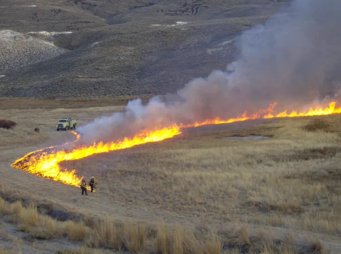 A prescribed fire burns through dry grassland with firefighters and a vehicle nearby on a dirt path.