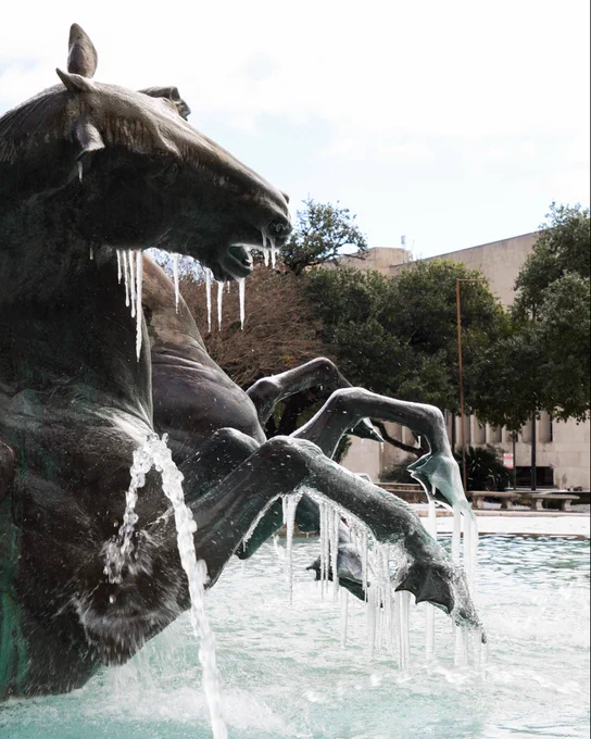 Icicles on the horse in Littlefield fountain on UT Austin’s campus