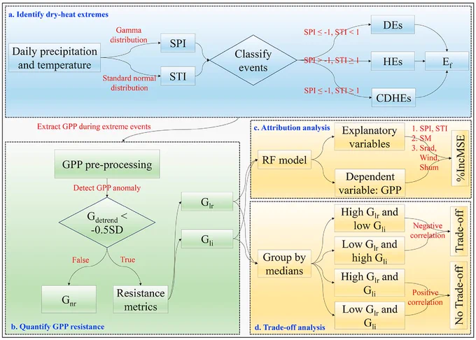 Figure 1. Workflow chart of the research methodology.