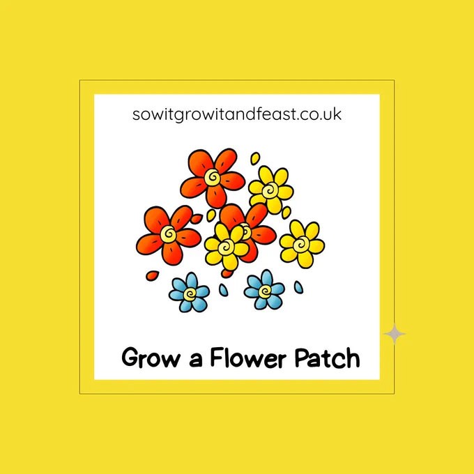Grow a Flower Patch.
sowitgrowitandfeast.co.uk
image:  childlike bright coloured flowers.