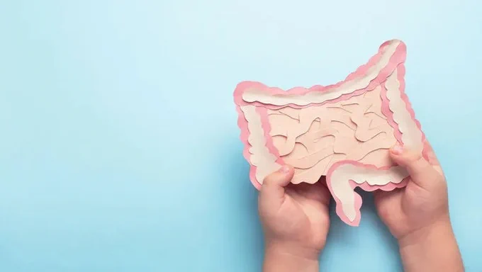 Two hands holding a colorful paper model of the intestines. The background is light blue.