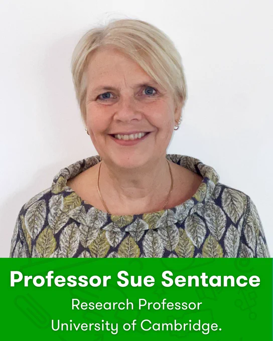 Portrait of Professor Sue Sentance. Text reads: Professor Sue Sentance, Research Professor, University of Cambridge.