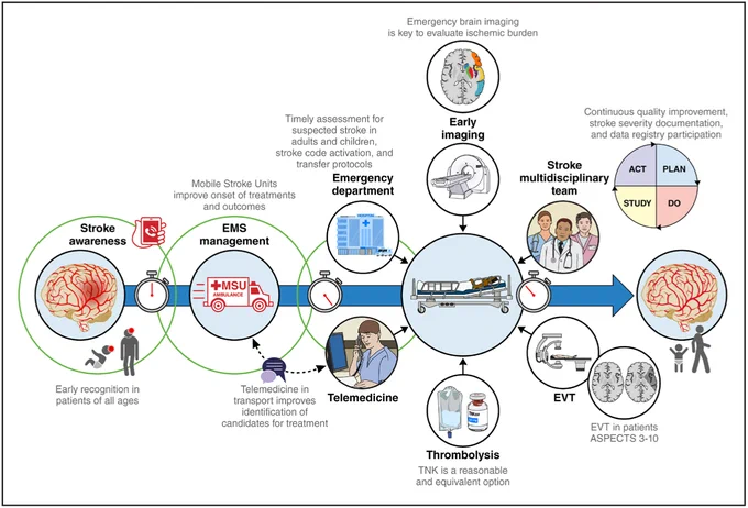 Figure 1. Journey of a patient with AIS. 