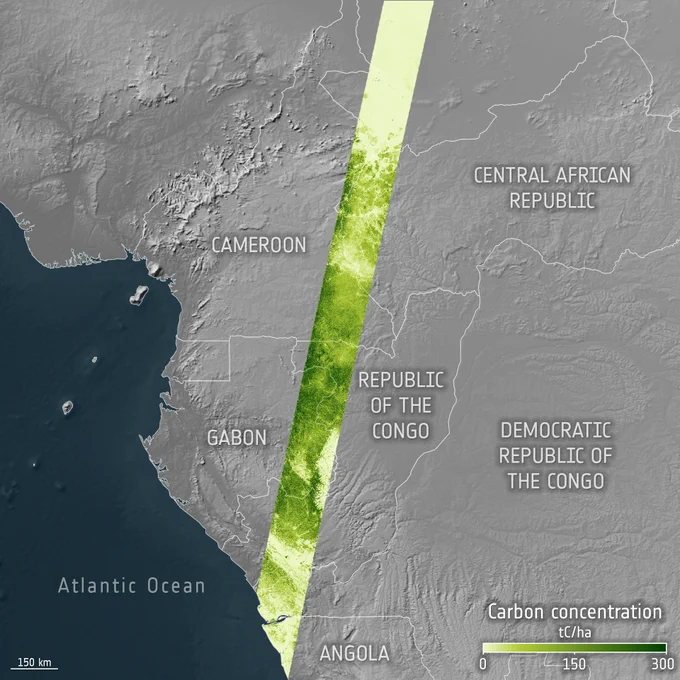 Map of forest carbon from ESA’s Biomass mission.