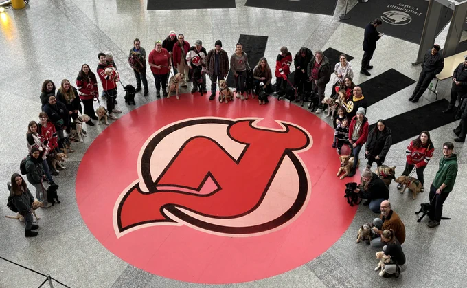 A birds-eye-view of a large group of puppy raisers with their Seeing Eye puppies circling the NJ Devils logo.
