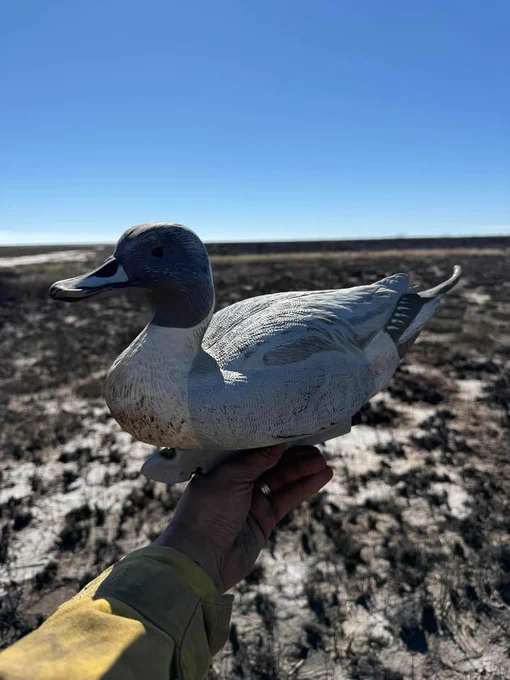 Hand holding a duck decoy against a muddy, black landscape under a clear blue sky.