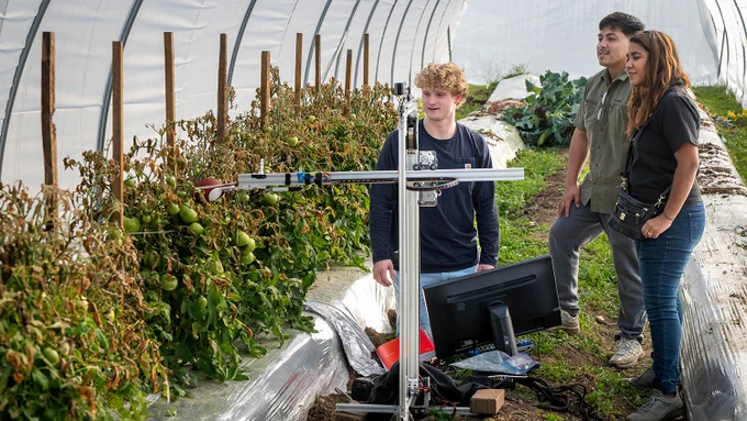 Three people inside a greenhouse observing tomato plants supported by stakes and a computer setup for monitoring growth.