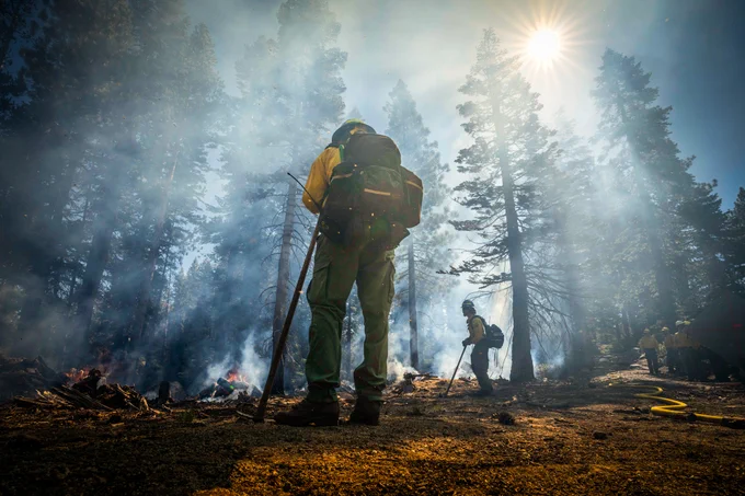 A wildland firefighter, pictured from the ground looking up, stands with his back to the camera on the exposed earth of a clearing amid towering evergreen trees. Bright sunlight illuminates the smoke filling the air. On the forest floor ahead of him, burn piles glow with low flames while tendrils of denser smoke rise into the air. Another wildland firefighter stands close to one burn pile while others stand off to the side near a vehicle. Photo by Preston Keres / USDA.