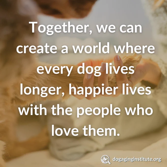  A person holding a dog’s paw on a bed with the following quote: Together, we can create a world where every dog lives longer, happier lives with the people who love them by The Dog Aging Institute 