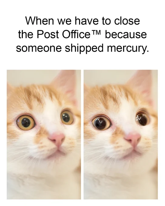 The image shows two side-by-side photos of an orange and white kitten with wide, startled eyes, captioned: "When we have to close the Post Office™ because someone shipped mercury."
