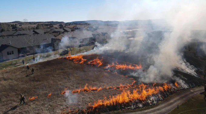 Prescribed burning in dry grass near residential homes with firefighters monitoring the perimeter.