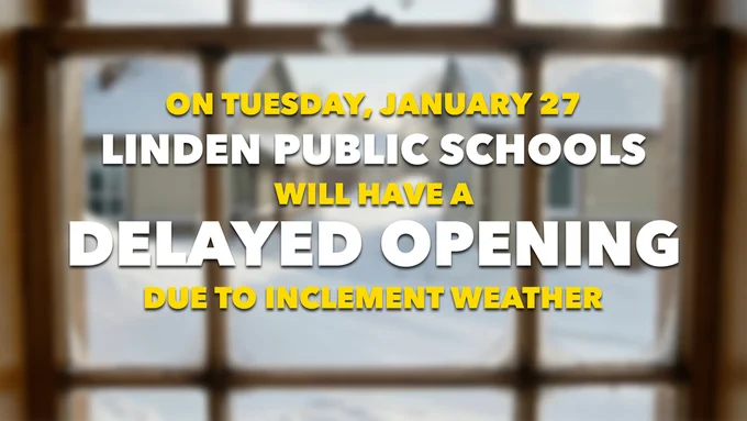 delayed opening 