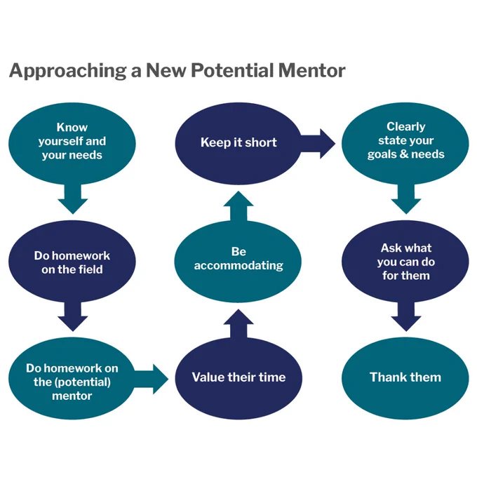 Graph showing the steps to approach a new potential mentor. 