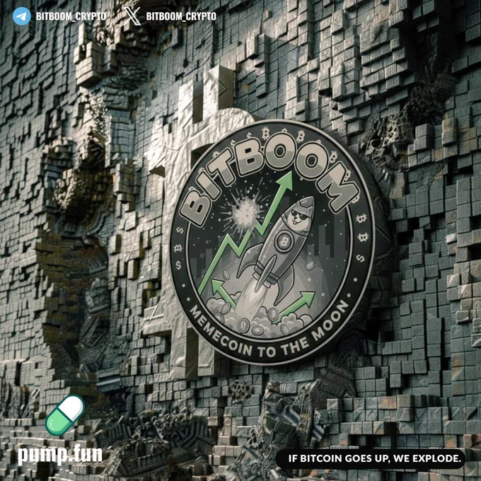 The bitboom 3D logo printed on a pixelated rock wall in aromatic colors (gray).
