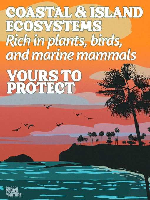 An illustrated poster depicting a coastal landscape with palm trees silhouetted against a vibrant sunset. The text reads, "Coastal & Island Ecosystems, Rich in plants, birds, and marine mammals," followed by "Yours to Protect." The colors are warm with shades of orange and blue dominating the scene.