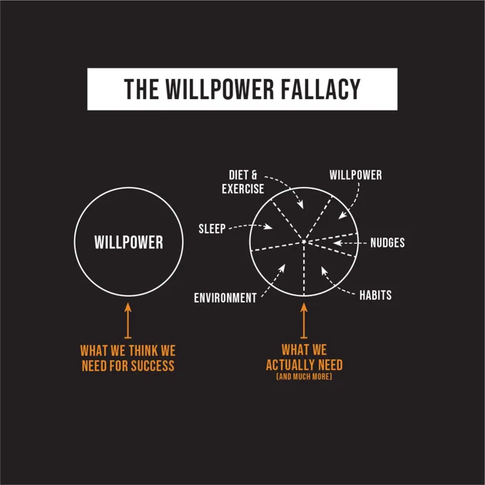 A dark graphic titled “The Willpower Fallacy.” On the left, a simple circle labeled “Willpower” represents what we think we need for success. On the right, a segmented circle shows: sleep, diet and exercise, environment, habits, nudges, and willpower.