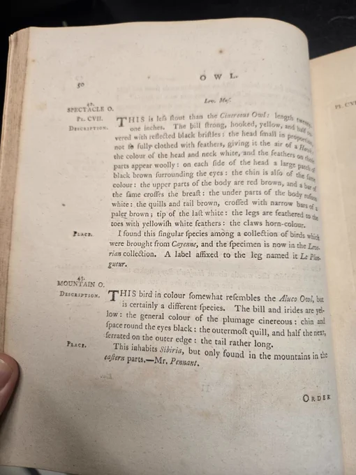 page from book with a physical description of the spectacle owl.