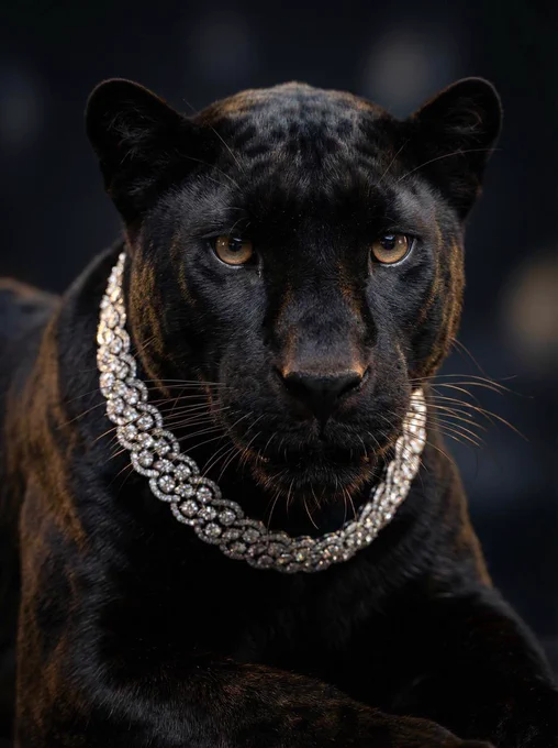 A hyper-realistic portrait of [ANIMAL], wearing high-end jewelry made of [MATERIAL], studio lighting, ultra-detailed fur, luxury fashion editorial style, dark background, 85mm lens look