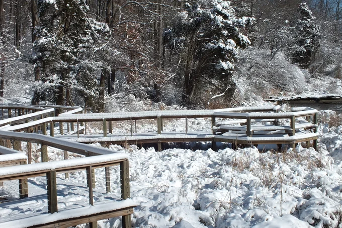 A snow-covered boardwalk winds through a snowy forest. One part of the boardwalk juts out to the right, overlooking a barely visible river off-camera.