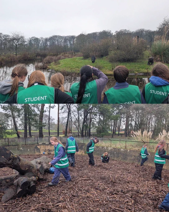🌿🦍 Industry Day at Whipsnade Zoo! 🦍🌿  Our Animal Management T Level students had an amazing day behind the scenes at Whipsnade Zoo — from designing ‘wellie’ enrichment for chimpanzees and observing animal behaviour, to learning about training and supporting daily husbandry with European bison and the critically endangered Visayan warty pigs.  An unforgettable day of hands-on learning and inspiration from expert keepers 🙌