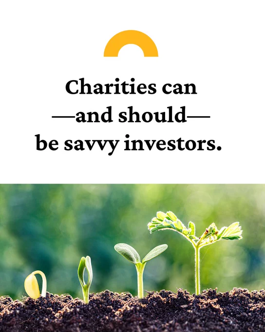 Charities can—and should—be savvy investors. Photo of small plants emerging from the soil, progressively getting bigger. 