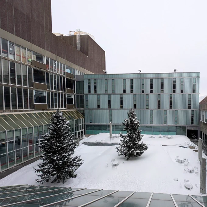 A photo of a snow-covered courtyard with two tall spruce trees.