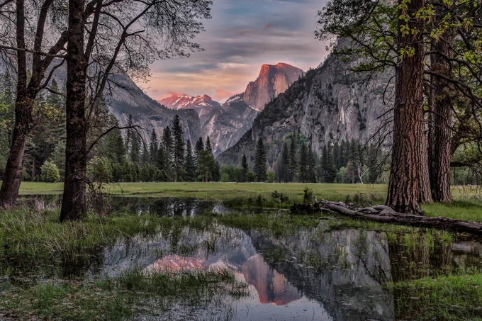 Photograph by Bernie Lewinsky