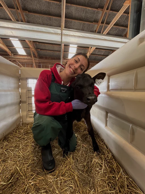 Lauren Jacobs in the calf barn at the Arlington Agricultural Research Station.