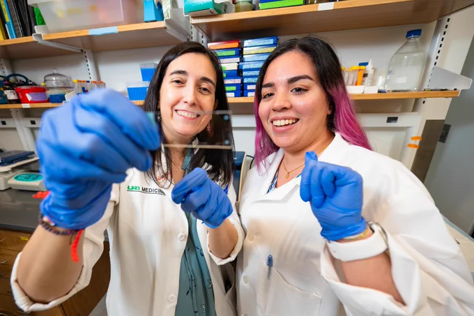 Current student and faculty member in a Heersink lab. 