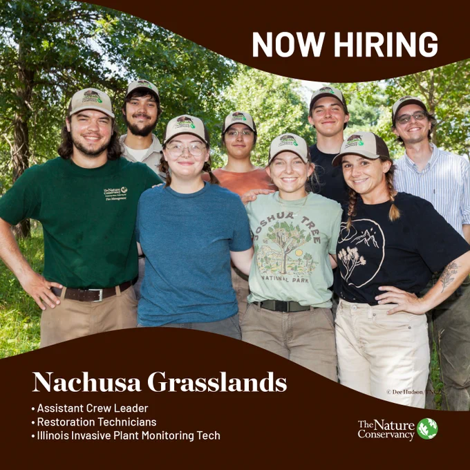 Graphic showing a group of young people with wording about open positions at Nachusa Grasslands.