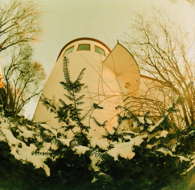 Partially snow clad branches of various trees in front of a 30's functionalist building.