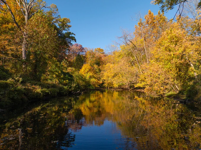 A small body of water surrounded by trees.