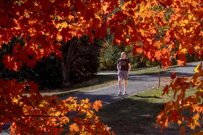 A person walks outdoors surrounded by fall foliage.