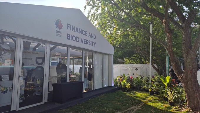 The finance and biodiversity pavilion at COP16 in Cali, Colombia.
