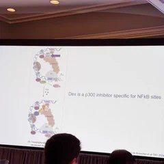 A presentation image shown on a projector screen.