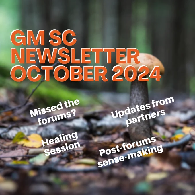 GM SC Newsletter October 2024
Missed the forums?
Updates from partners
Healing sessions
Post-forums sense-making