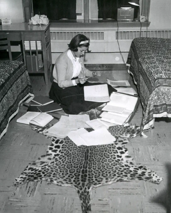 Student sits on floor of dorm room on a leopard skin rug 