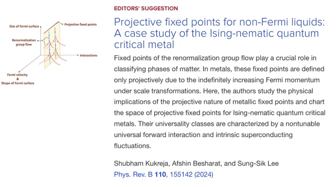 EDITORS' SUGGESTION
Projective fixed points for non-Fermi liquids: A case study of the Ising-nematic quantum critical metal
Fixed points of the renormalization group flow play a crucial role in classifying phases of matter. In metals, these fixed points are defined only projectively due to the indefinitely increasing Fermi momentum under scale transformations. Here, the authors study the physical implications of the projective nature of metallic fixed points and chart the space of projective fixed points for Ising-nematic quantum critical metals. Their universality classes are characterized by a nontunable universal forward interaction and intrinsic superconducting fluctuations.

Shubham Kukreja, Afshin Besharat, and Sung-Sik Lee
Phys. Rev. B 110, 155142 (2024)