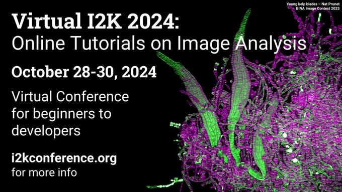 A green and magenta fluorescence microscopy image of kelp blades, next to text saying "Virtual I2K2024: Online Tutorials on Image Analysis. October 28-30, 2024. Virtual Conference for beginners to developers. i2kconference.org for more info . 